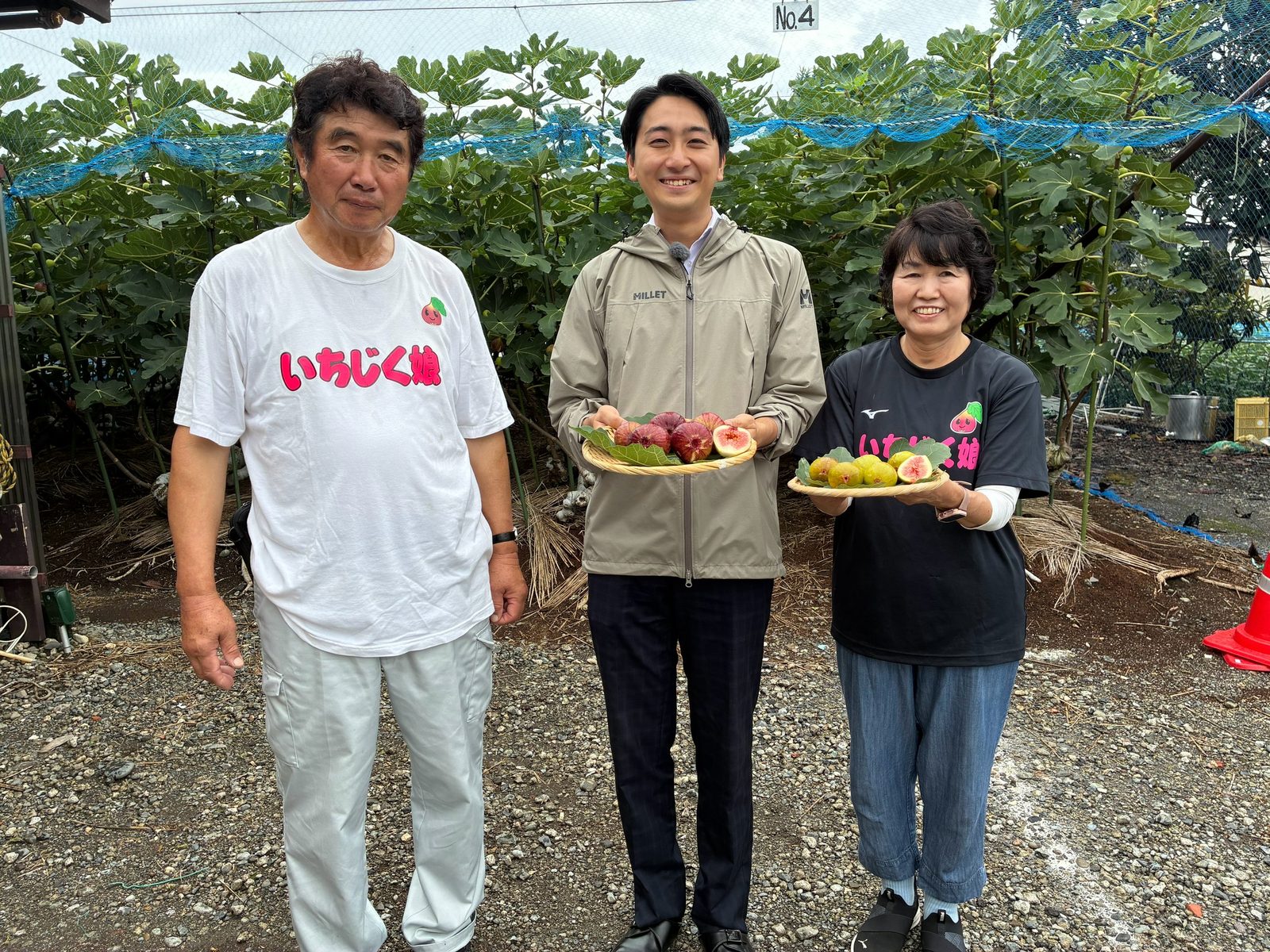 テレビ出演者と望月園芸のスタッフがいちじく畑で撮影
