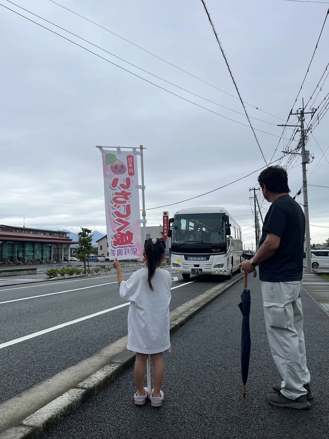 東京から観光バスに乗っていちじく狩りにご来園