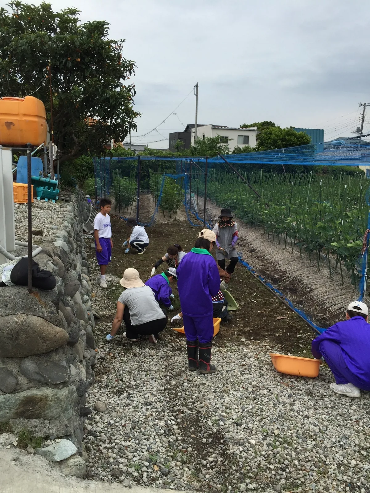 中学生とボランティアの草取り作業